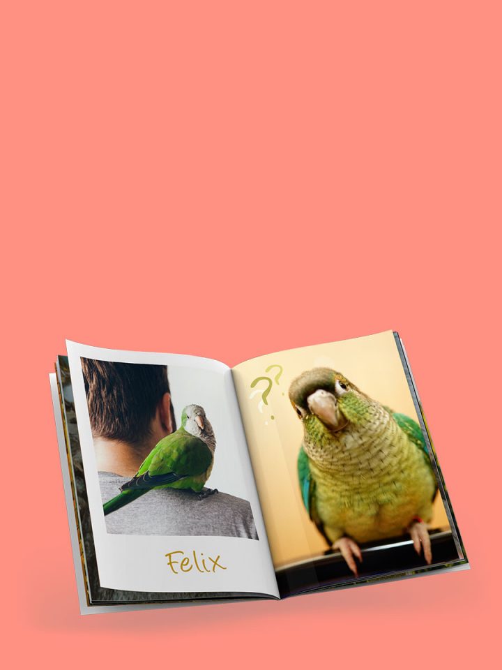 ifolor Photo Books